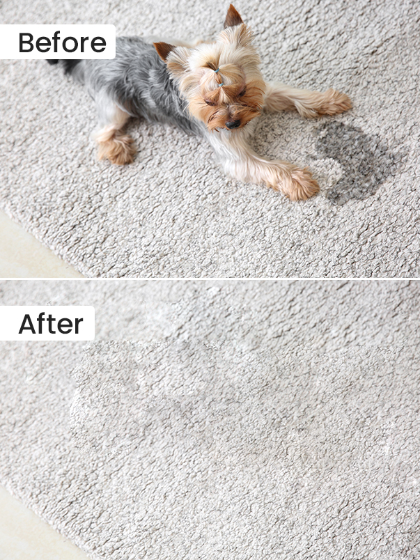 Before After